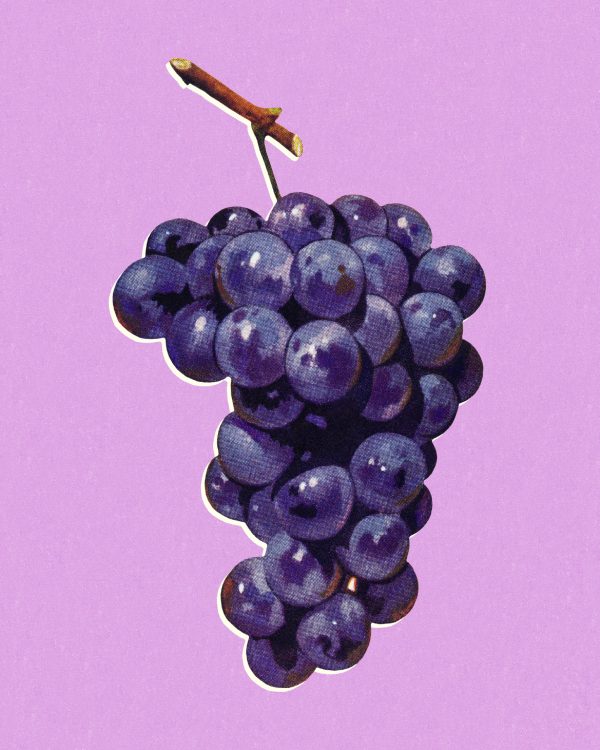 Why China does not need a signature grape