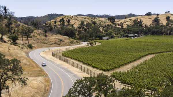 Wine tourism now accounts for a quarter of global winery revenue