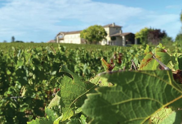 Could Château Lafleur alter the future of the appellation system?