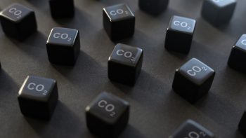 Top four findings from the latest IWCA report