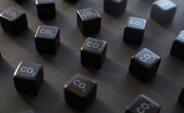 Top four findings from the latest IWCA report