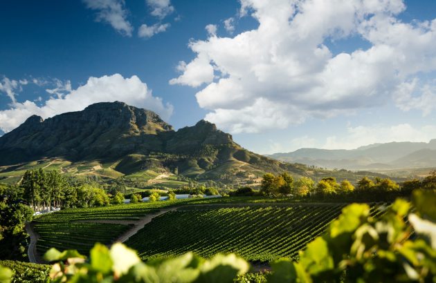 How the Chardonnay Association of South Africa is changing perceptions