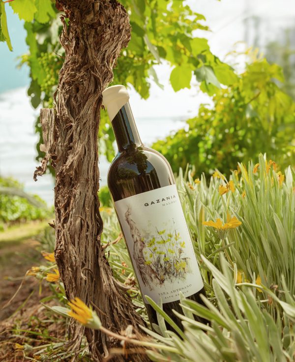Local biodiversity proves the secret to new Viña Artesano wines