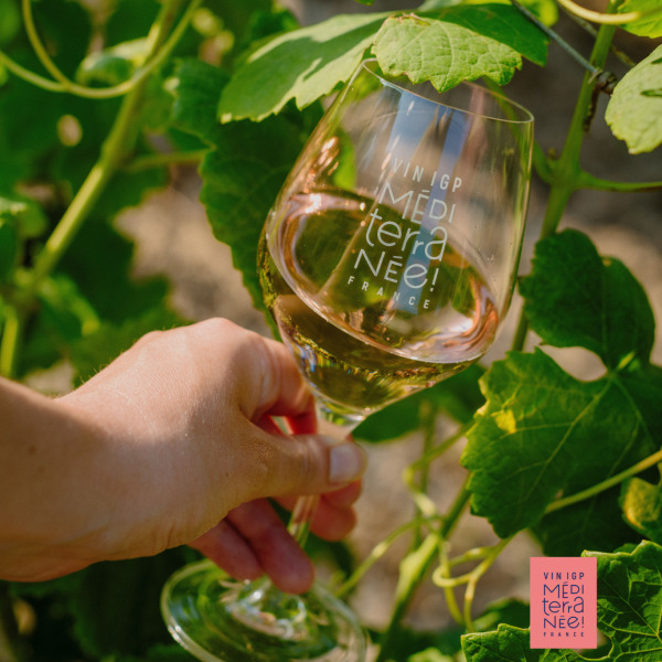 The numbers behind IGP Méditerranée’s impressive growth