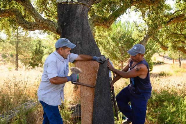 Cork Supply achieves B Corp certification