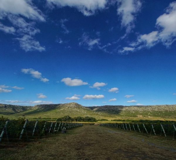 Balcarce: what you need to know about Argentina’s fledgling wine region
