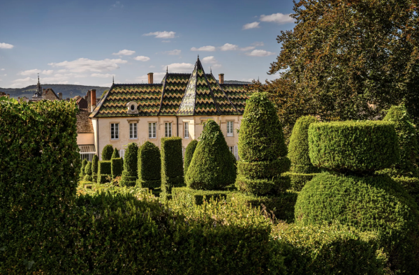 Christie’s offers ‘once-in-a-lifetime’ Bouchard Père & Fils cellar sale