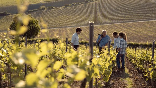 Immersion Collection celebrates 40 years of Champagne Thiénot