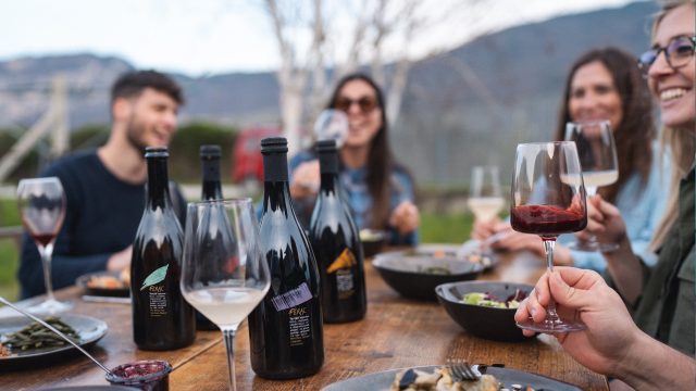 Mascotas salvajes sin alcohol