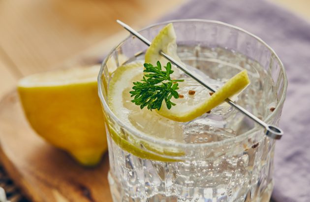 Alcohol-free drinks cannot be called gin, EU court rules