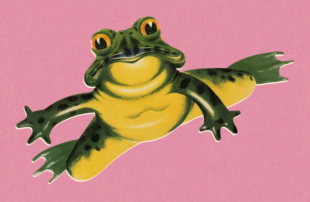 Entries now open for The Drinks Business Awards 2026