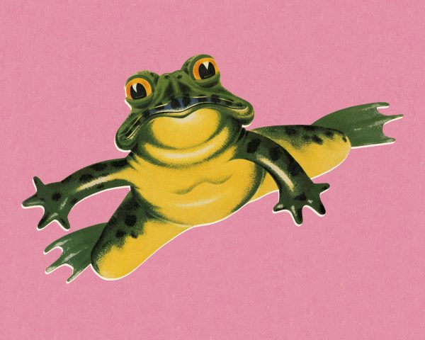 Entries now open for The Drinks Business Awards 2026