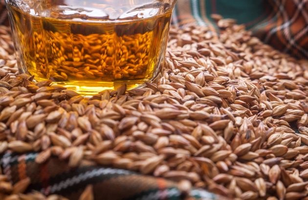 Diageo pauses maltings at Roseisle as whisky sector faces deepening strain