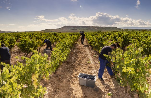 The timeless charm behind Rioja’s Monte Real