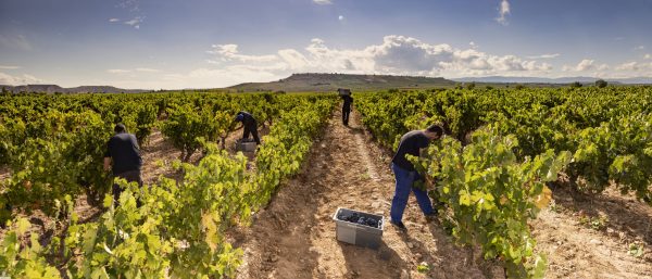 The timeless charm behind Rioja’s Monte Real
