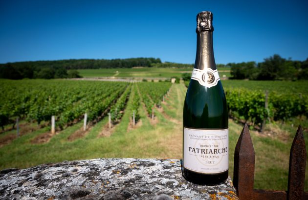 ‘The best value for quality bubbles’: Patriarche Crémant sales surge 20%