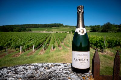 ‘The best value for quality bubbles’: Patriarche Crémant sales surge 20%