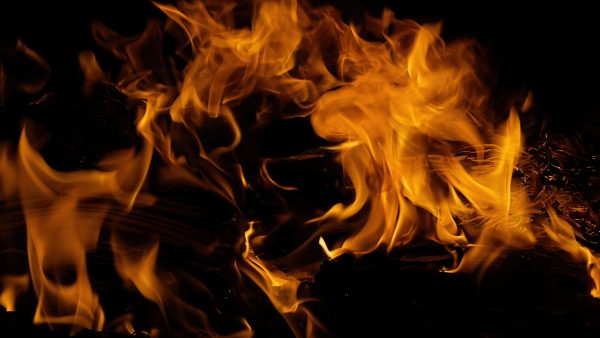 Galicia on path to recovery from ‘Australia-like’ wildfires