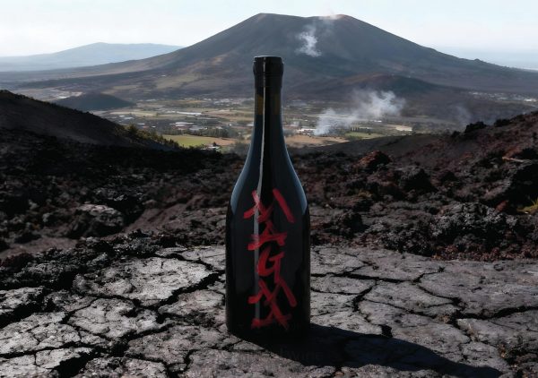 Auction Update: Frank Cornelissen