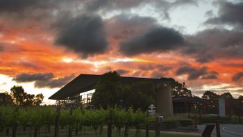 ASC Fine Wines and Vinarchy strike exclusive distribution deal