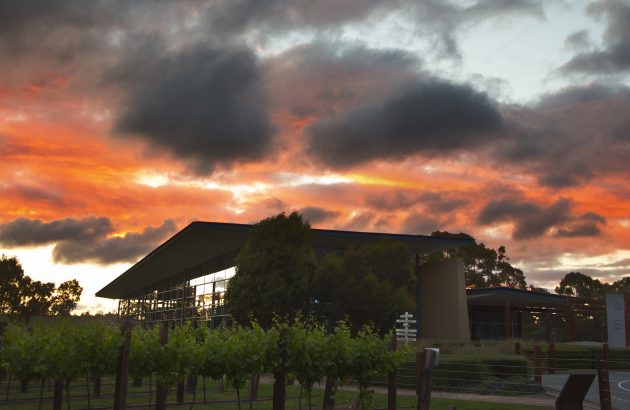 ASC Fine Wines and Vinarchy strike exclusive distribution deal