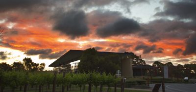 ASC Fine Wines and Vinarchy strike exclusive distribution deal