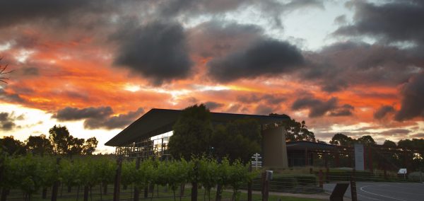 ASC Fine Wines and Vinarchy strike exclusive distribution deal