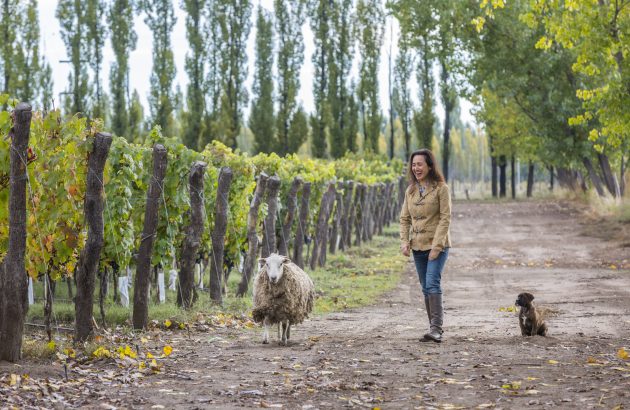 When ‘green’ means drinking differently: Laura Catena on Domaine EdeM