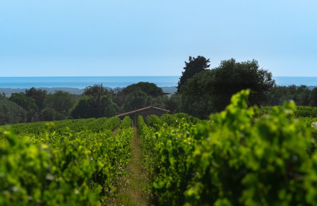 Orma and Oreno: ‘Sometimes we take a little bit of the fashion world’