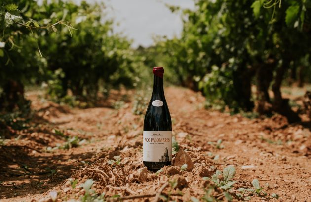 Viña Salceda strikes a balance with the ‘new old style of Rioja’