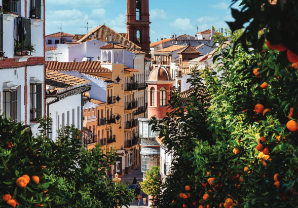 Don’t miss db’s Spain Report 2025, out now