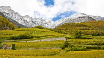 Behind the label: Alto Adige and the question of language