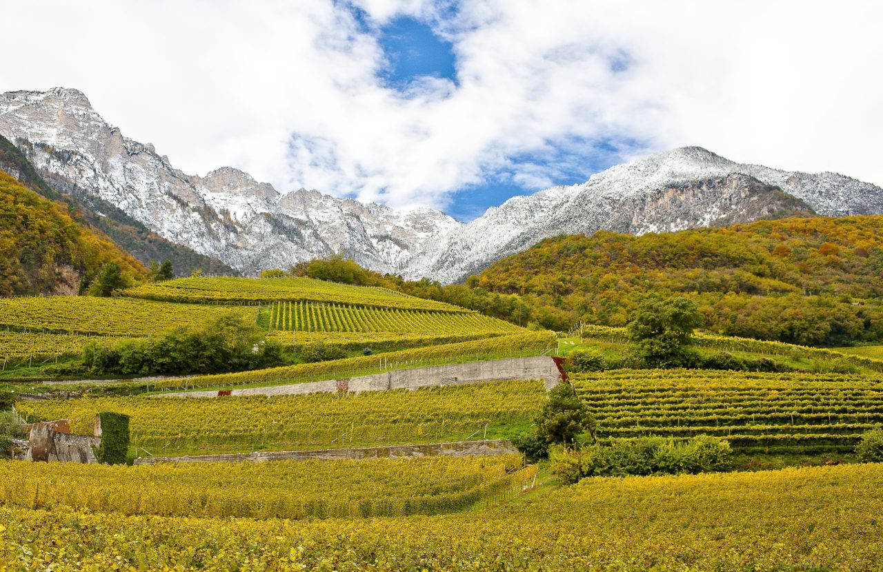 Behind the label: Alto Adige and the question of language