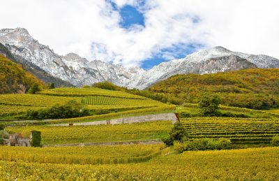 Behind the label: Alto Adige and the question of language