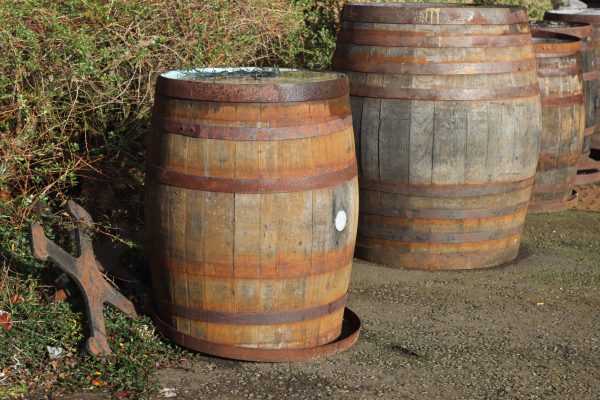 Future of union set hits point of no return