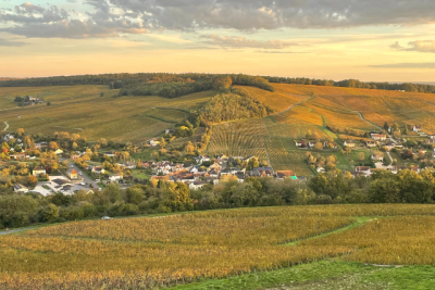 Centre-Loire 2025: a vintage defined by striking contrasts