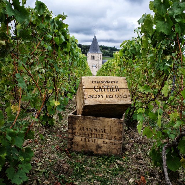 Champagne house Cattier, one of the region’s leading family-owned estates, is set to raise its profile in the UK with the appointment of Enotria, part of the Majestic Wine Group, as its exclusive on-trade distributor from January 2026.