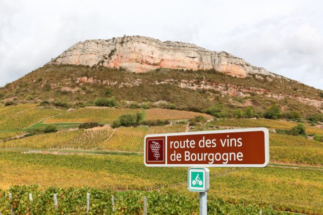 China registers 70 Burgundy PDOs