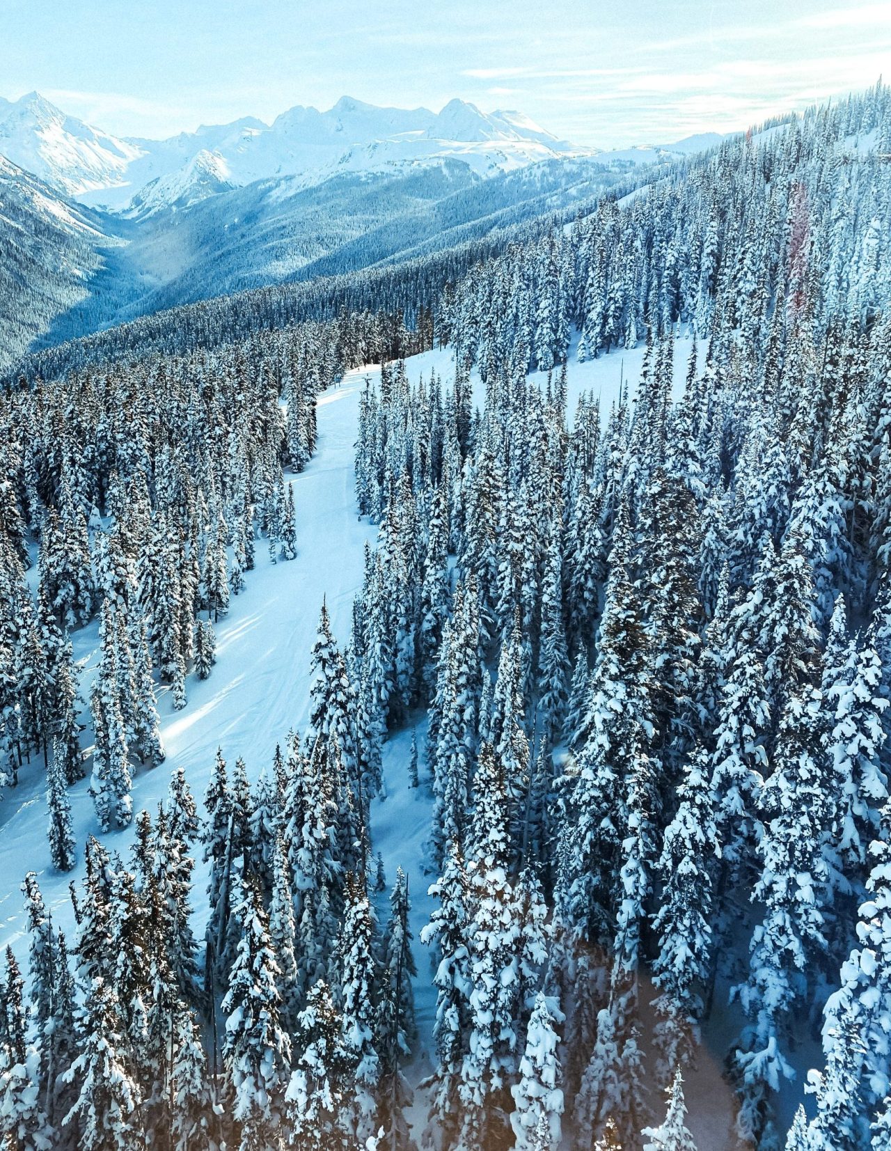 Deep freeze: which brands thawed an icy fine wine market this year?