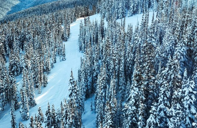 Deep freeze: which brands thawed an icy fine wine market this year?