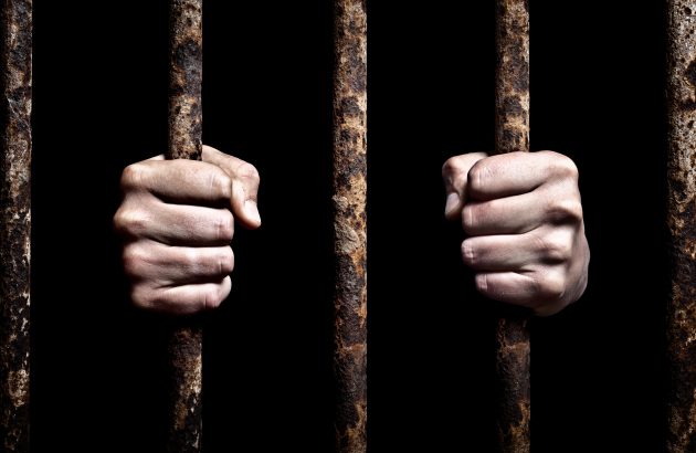 The db wine crime files 2025: part 2