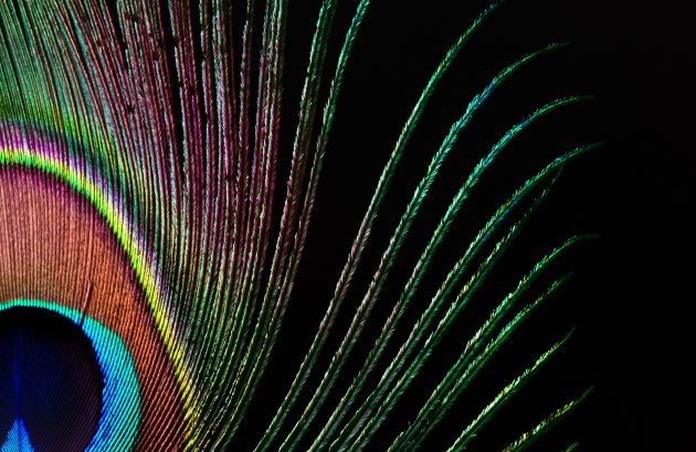 In fine feather: defining luxury across the wine world