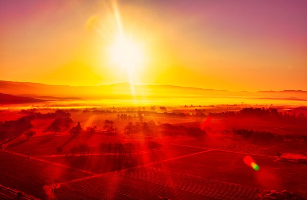 California’s most influential wine producers identified