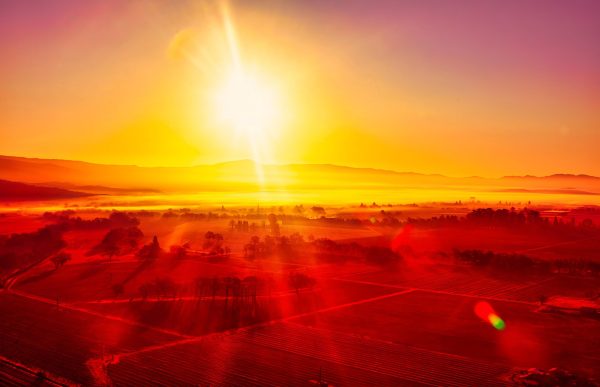 California’s most influential wine producers identified