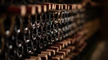 WineCap charts 2025: ‘The speed of the rebound astonished us’
