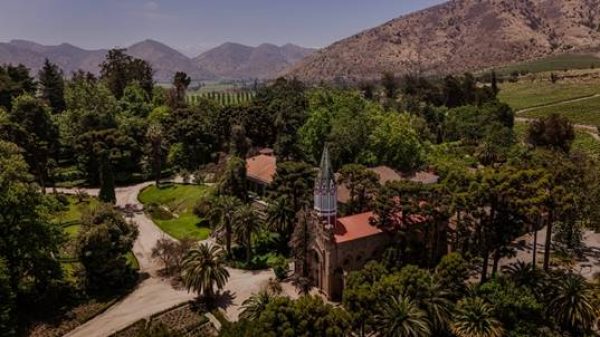 Santa Rita named the best winery in the world by Forbes