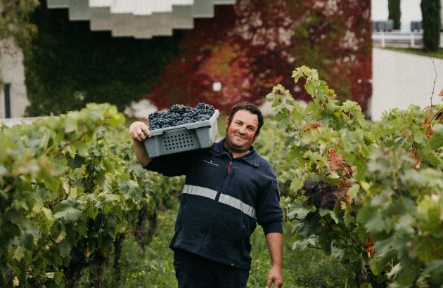 The vineyard-centred approach earning renown at Bodegas Ysios
