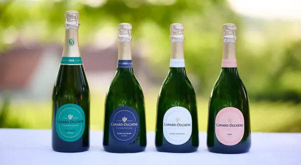 Ambitious plans afoot for Champagne Canard-Duchêne in UK