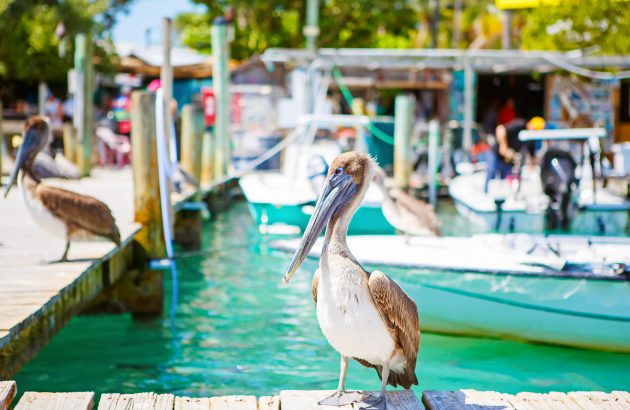 A $35,000 wine weekend launches on private island