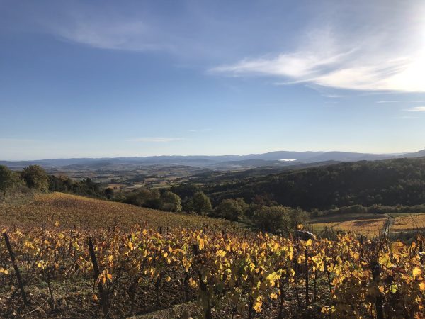 Bijou moves into sparkling with Éminence de Bijou Crémant de Limoux